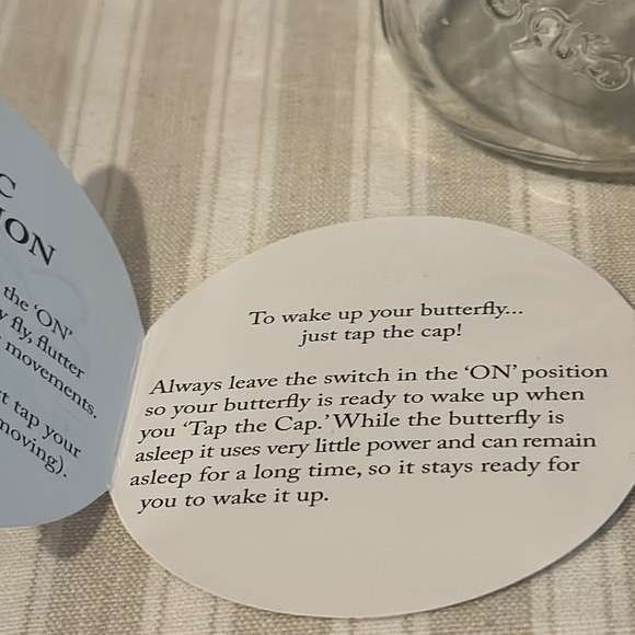 Butterfly Collection, Pink Butterfly & Multi-Colored Butterfly in a Jar! - Picture 11 of 13